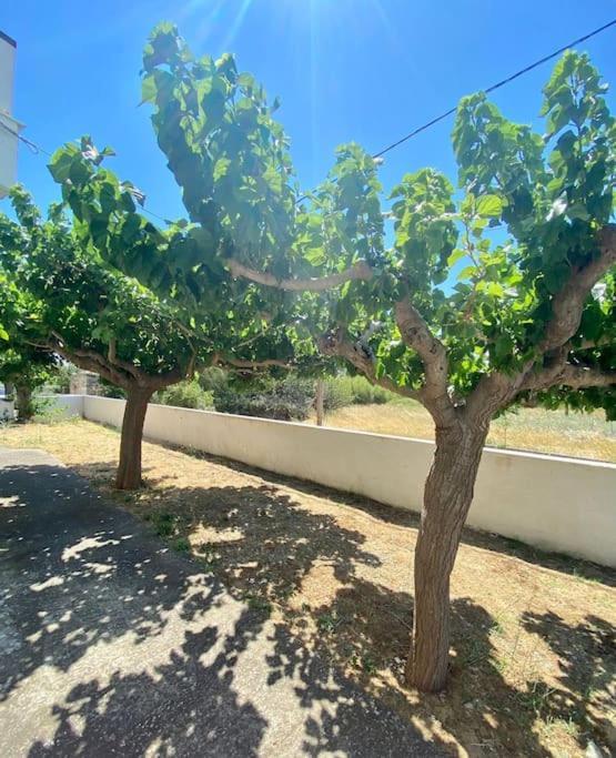 Τέσσερις Εποχές Apartman Aetósz Kültér fotó