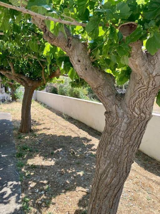 Τέσσερις Εποχές Apartman Aetósz Kültér fotó